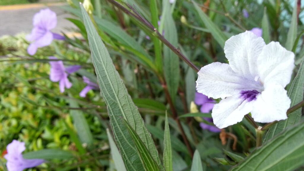 「褒められても嬉しくない…」そんな自分を責めないで｜心の奥にある理由とやさしい対処法