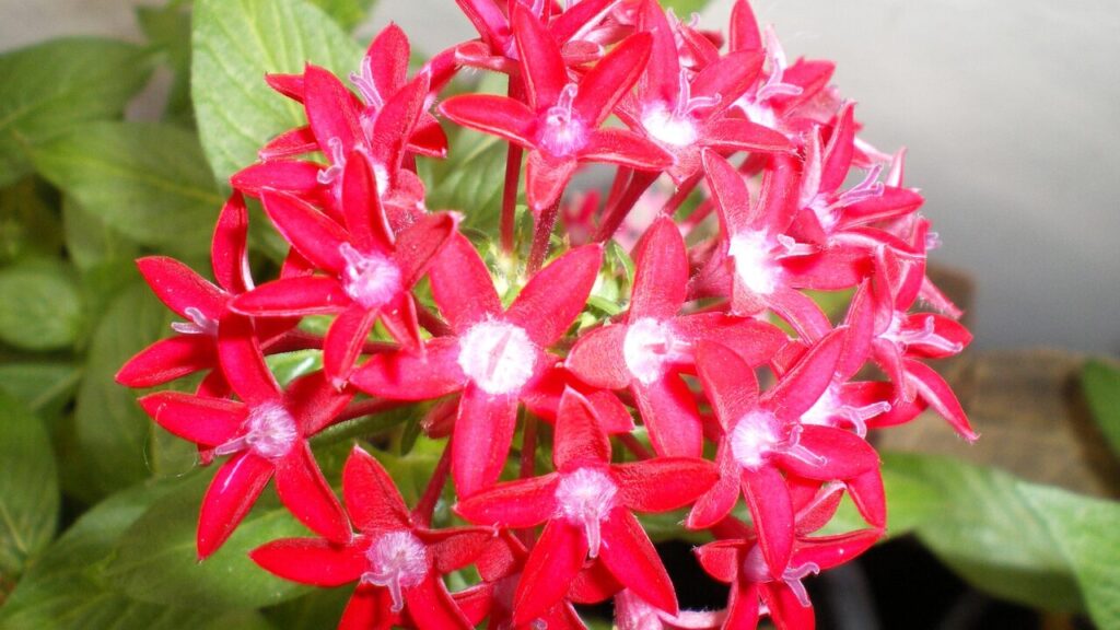 自分の価値がわからないときにやるべきこと｜心が迷ったときの“再出発ガイド”