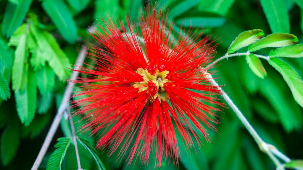 「なぜか悲しい…」理由のわからない心のモヤモヤに寄り添う記事