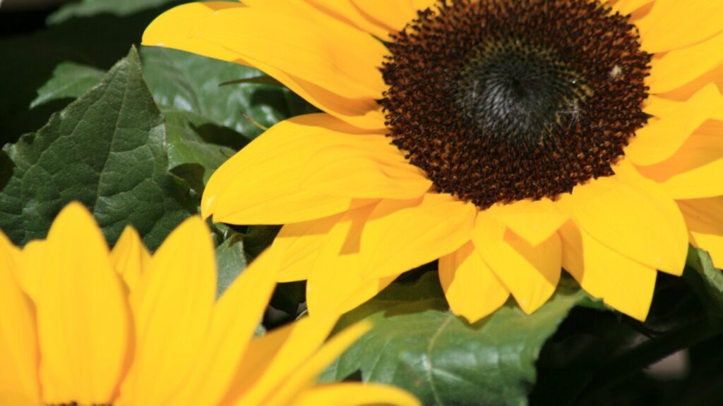 誰にも本音を言えないあなたへ｜少しずつ心を開く7つのステップ