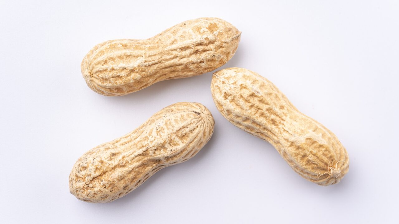 まとめ｜ピーナッツは“量を守れば”ヘルシーなおやつ！