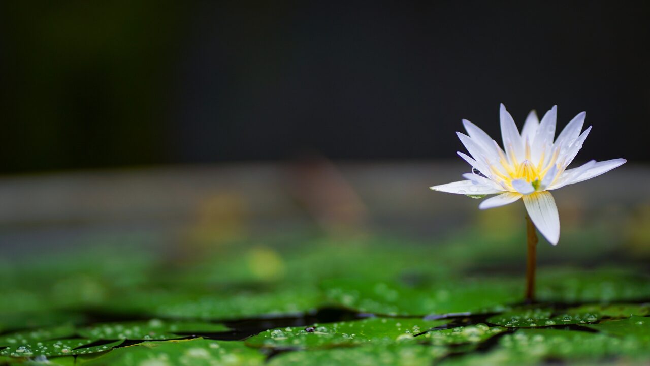 普通って何？他人と比べすぎるあなたへ｜“自分らしさ”を取り戻すヒント