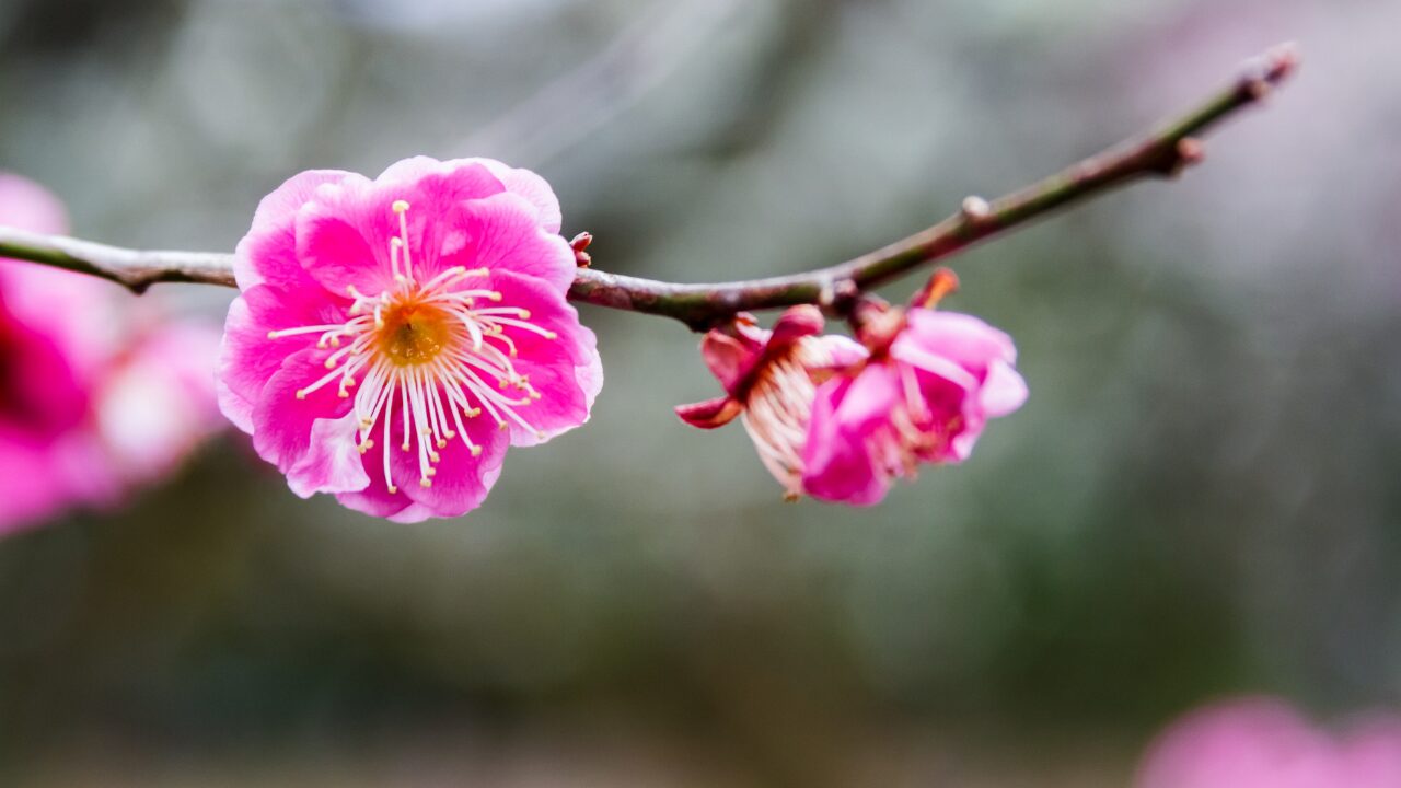 「理由のない焦りが消えない…」そんなときに試したい７つの対処法