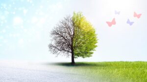 季節の変わり目あるある！体調不良＆肌トラブルの原因と今すぐできる対策まとめ