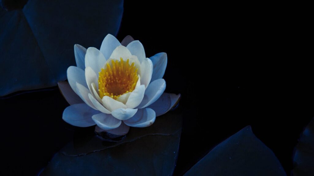 ため息が止まらないのはなぜ？｜心のサインと優しい改善ヒント