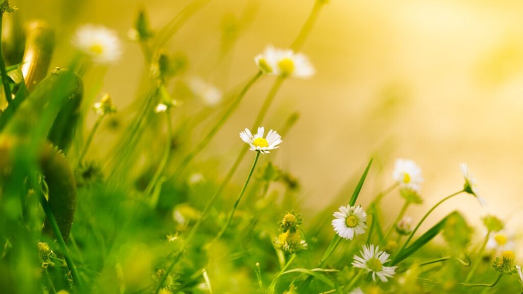 予定がない日が怖いあなたへ｜その不安の正体と心がラクになる過ごし方