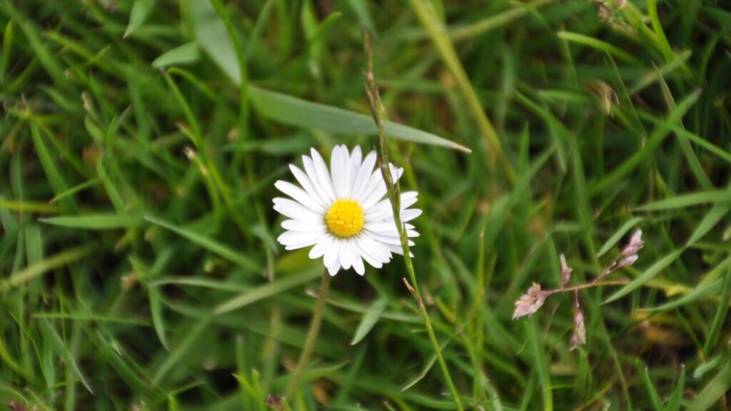 気づいたらため息ばかり…その理由とスッと軽くなる改善法とは？