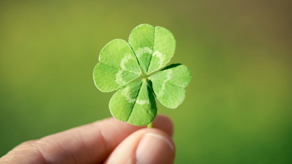 四つ葉のクローバーが“幸運”の象徴になった理由とは？意味・由来・見つけ方まで徹底解説！
