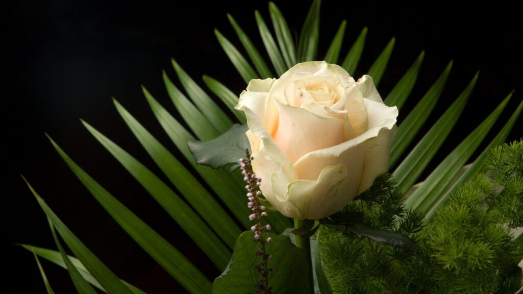 「頑張らなくていい」と言えるようになるまで｜無理を手放す心のステップガイド