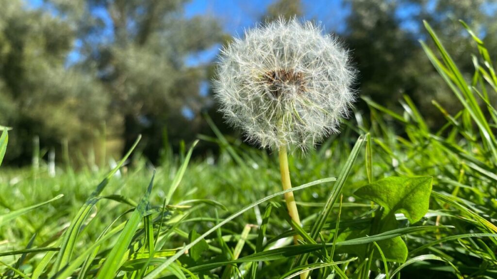 自分に優しくできないあなたへ｜自己否定を手放す５つのヒント