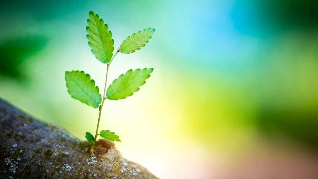 涙も出ないほどしんどいときは？心と体を守る対処法＆セルフケアまとめ