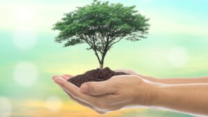 【Q＆A】育毛剤は何ヶ月使えば効果が出る？医師監修で解説｜効果的な使い方とNG例も紹介