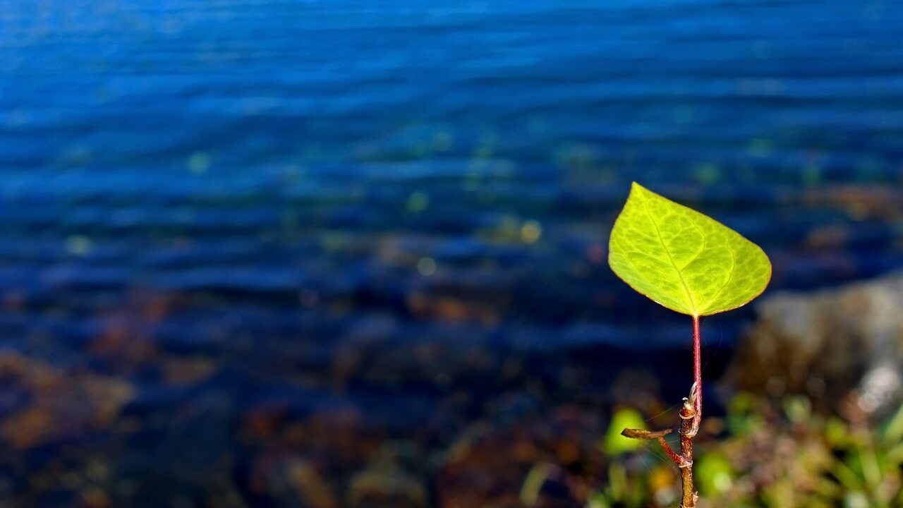 それでも頼るのが怖いときは｜気持ちが少し軽くなるヒント
