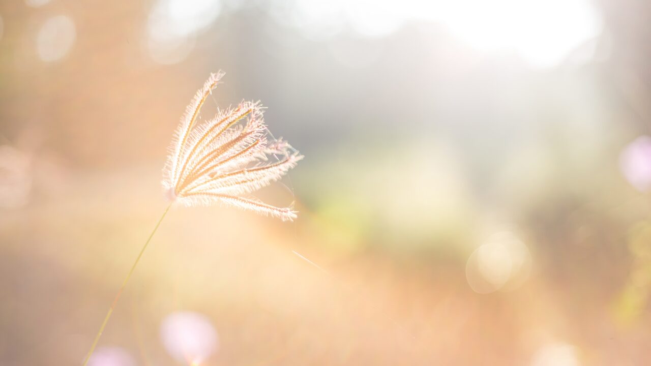 まとめ｜「居場所がない」と感じるあなたへ。焦らず、心をいたわって
