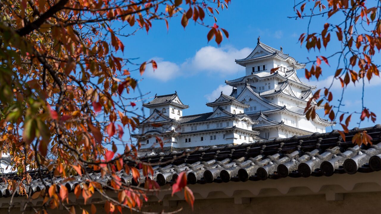 徳川家康の名言・口癖｜耐えの美学が光る言葉たち