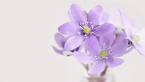人前で笑うのがしんどいあなたへ｜無理しない笑顔の選び方と心がラクになるコツ