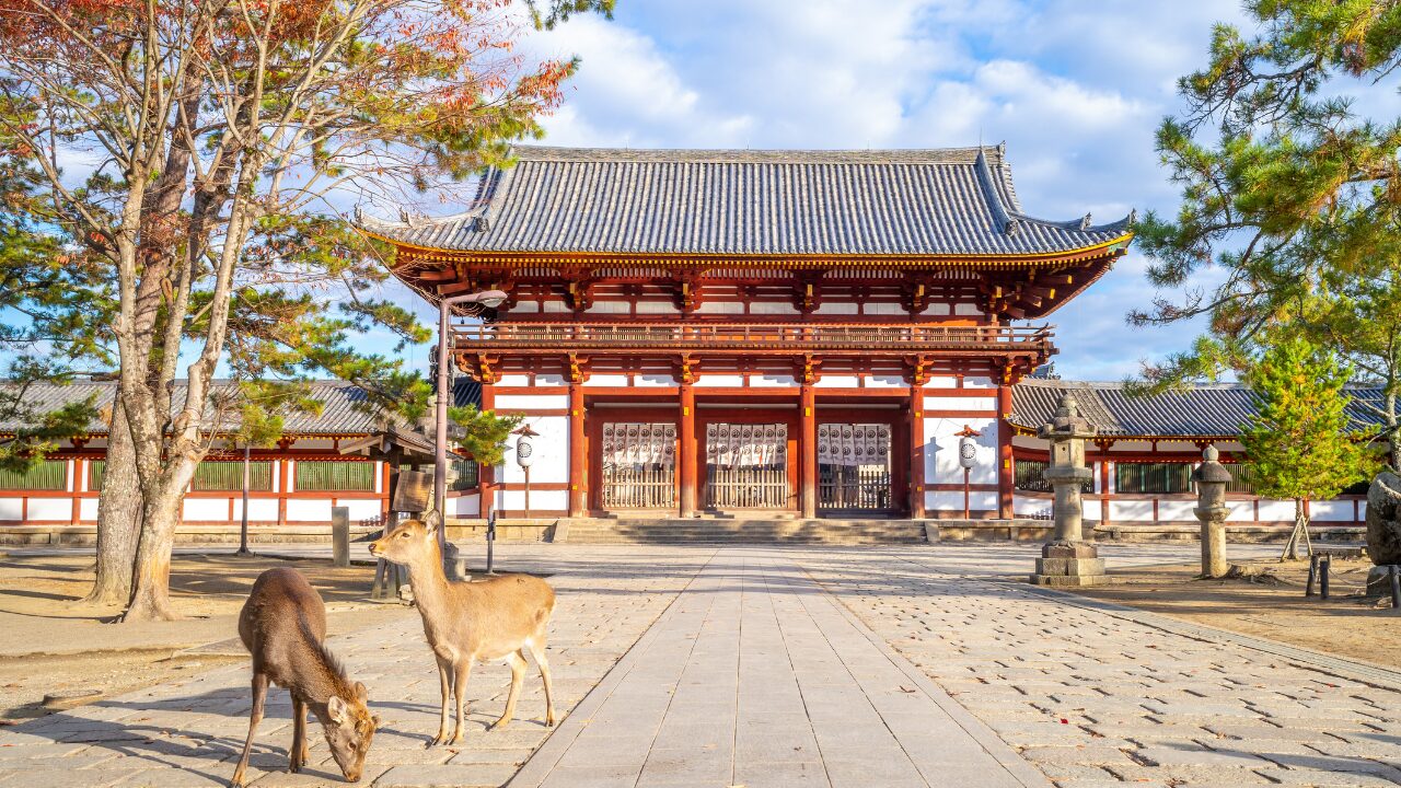 神話から受け継がれる神社と信仰｜今に残る神様たち