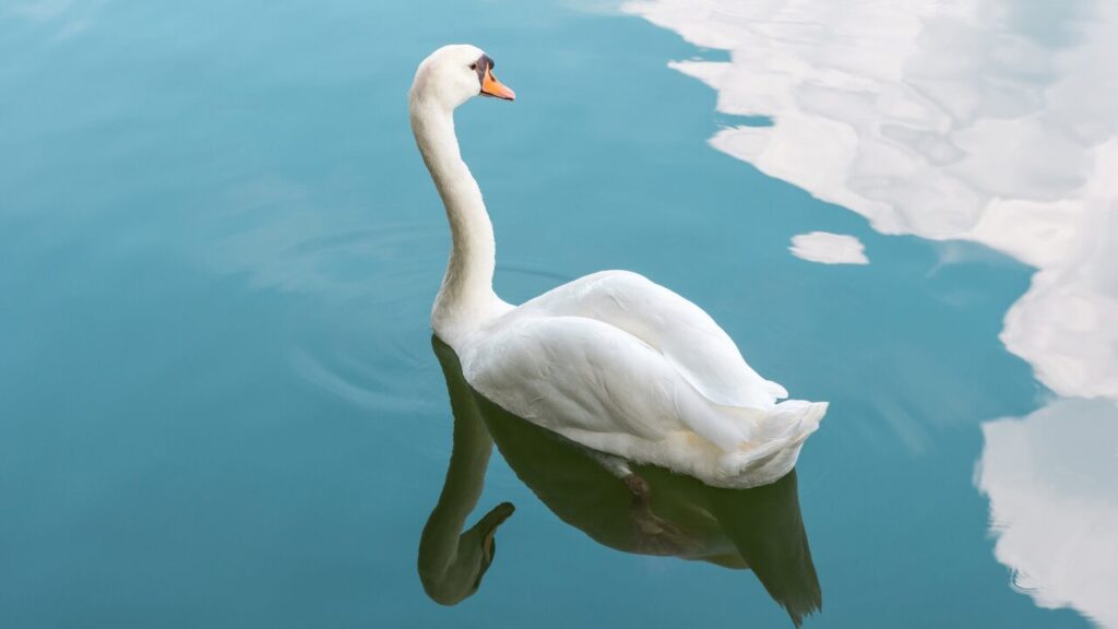 「なんかもう疲れた…」と思ったときに読んでほしい、心がふっと軽くなる対処法