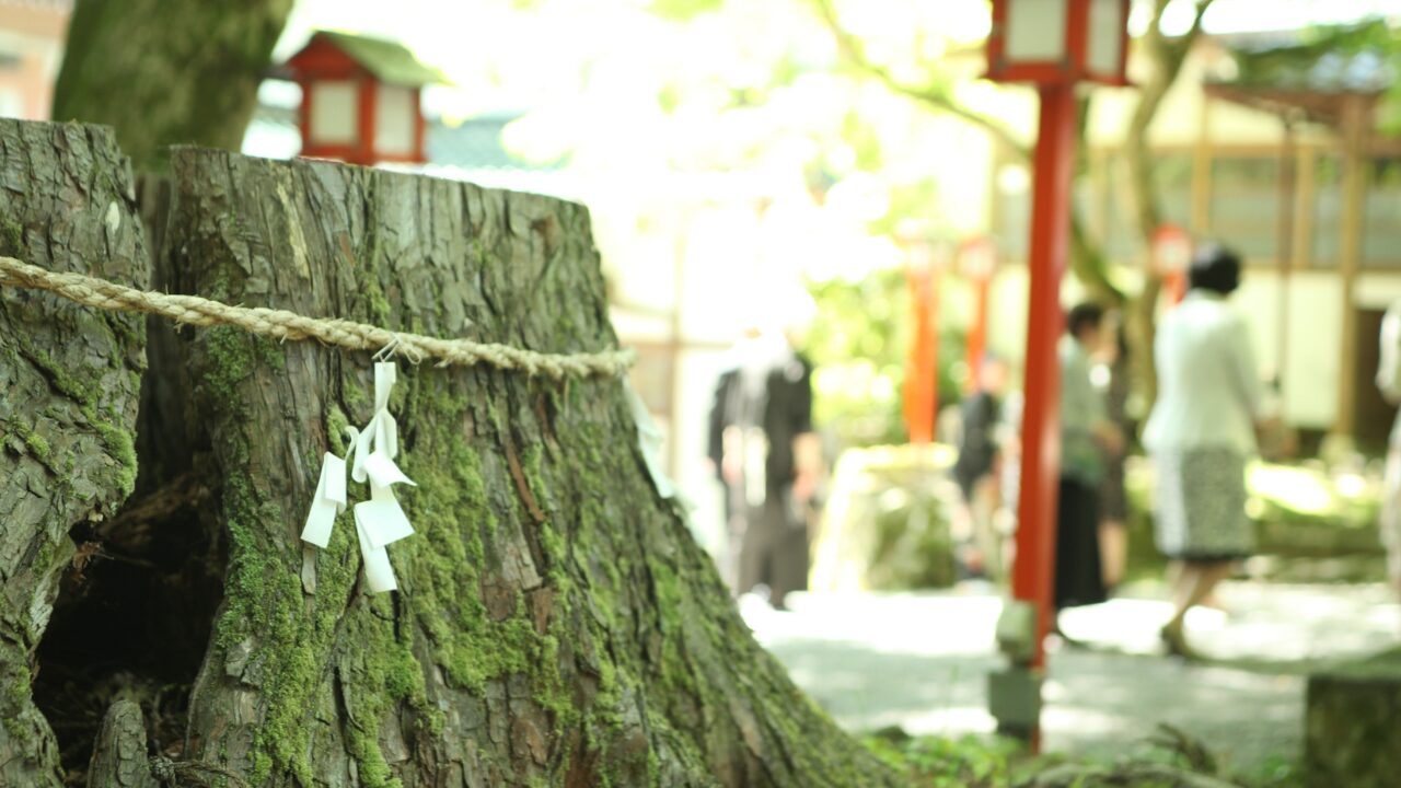 天地創造の神々｜最初に現れた「造化三神」
