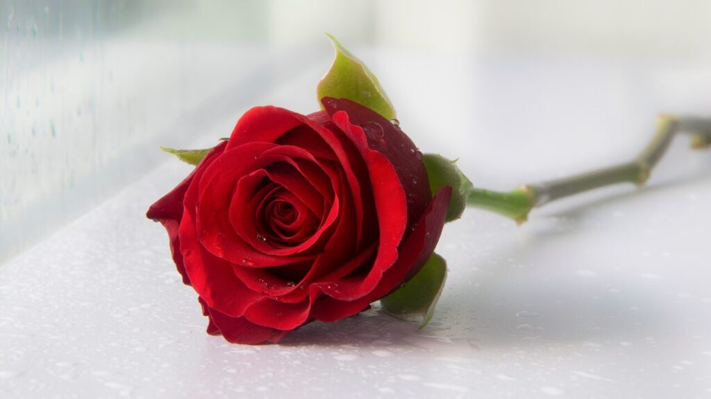 「自分を大事にする」ってどういうこと？心と体に効く７つの具体的な実践法