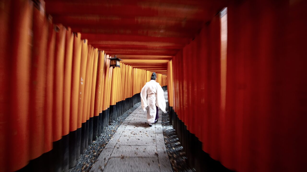 【保存版】日本神話の神様一覧と役割まとめ｜古事記・日本書紀に登場する神々をわかりやすく解説