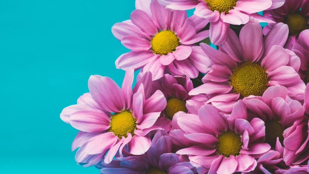 「比べたくないのに比べてしまう…」他人と比べる心理とやめるための7つの対策