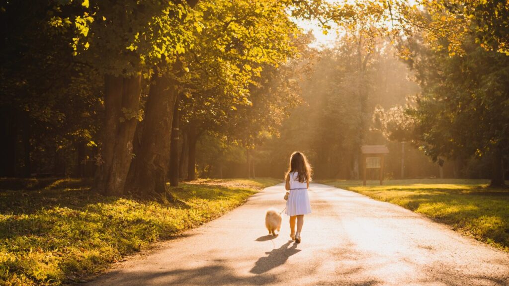 外出が怖いと感じたときの対処法｜不安をやわらげる具体的なステップとは？