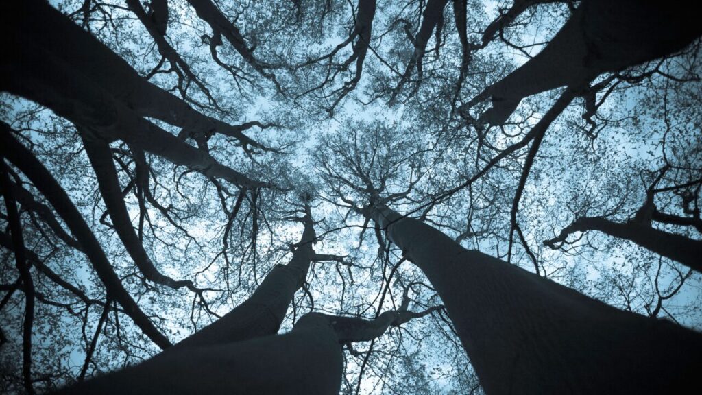 「なぜかずっと不安…」常に不安を感じやすい人の特徴と、心をラクにする7つの方法