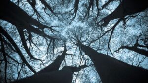 「なぜかずっと不安…」常に不安を感じやすい人の特徴と、心をラクにする7つの方法