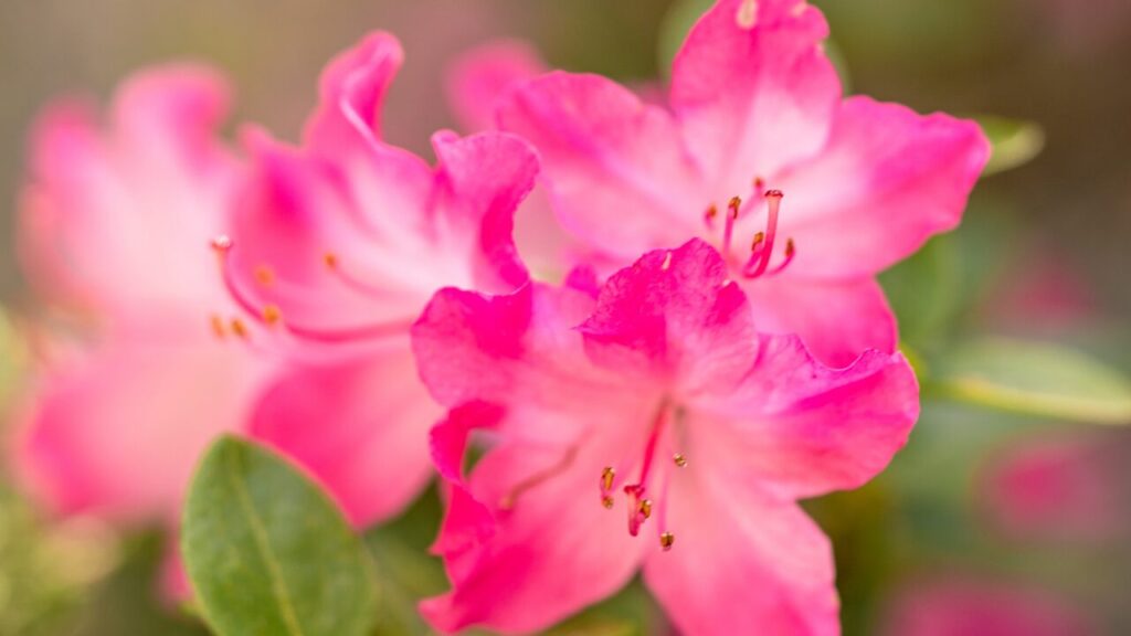 「頑張れって言わないで」そう思うあなたへ｜無理しなくていい理由と心が軽くなる言葉