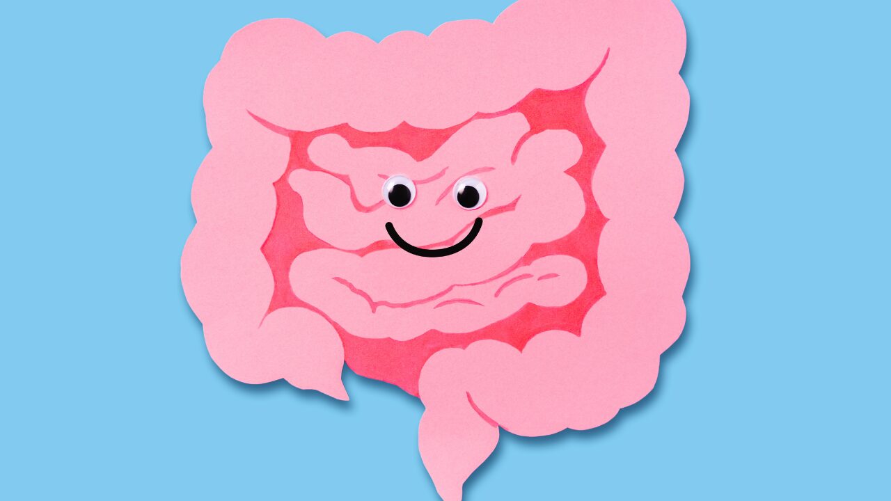 腸内環境を整えるための基本の食事