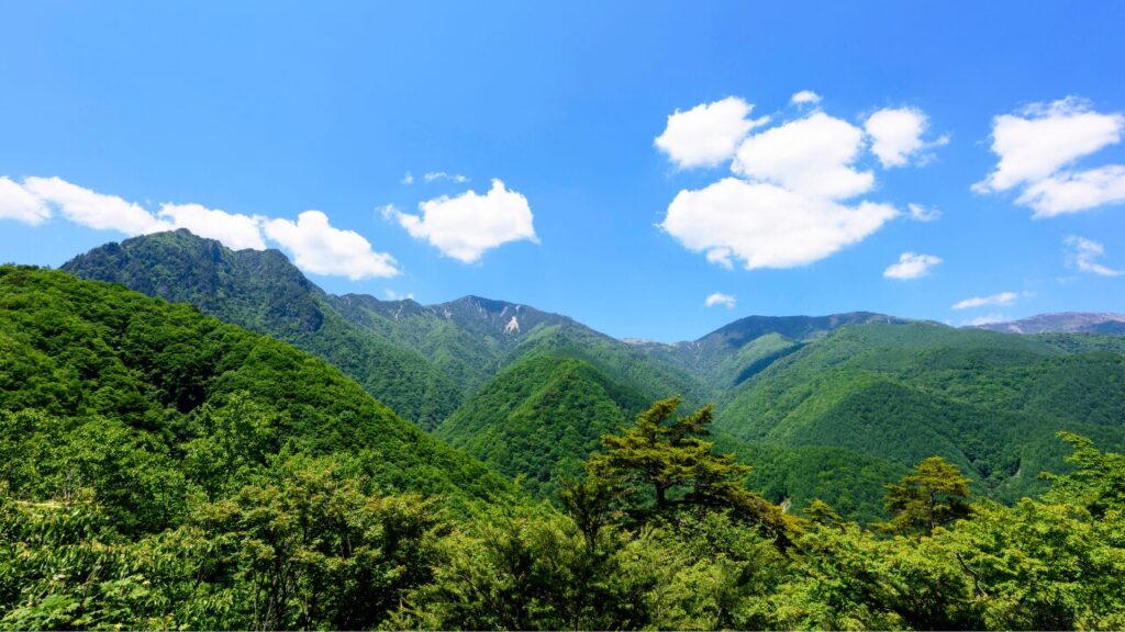 なぜそんなに暑くなる?日本一暑い地域の共通点とは