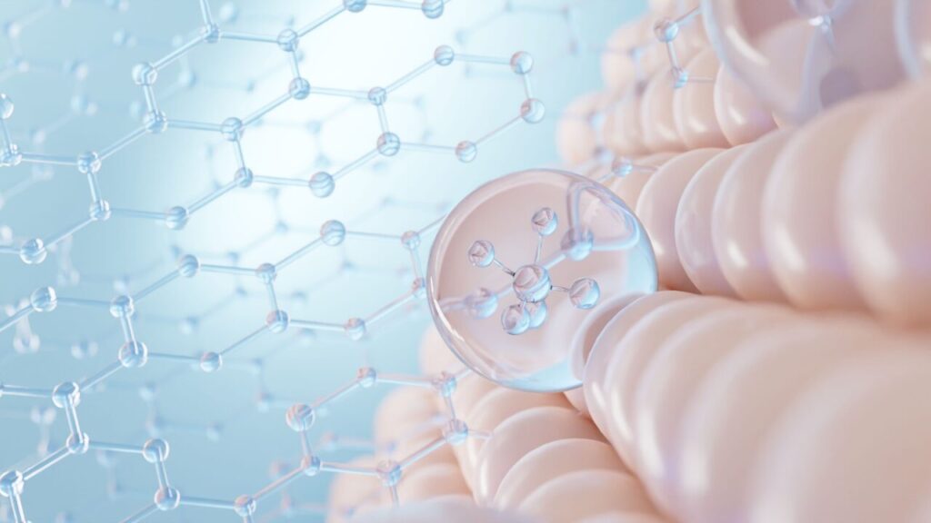 学習内容とカリキュラムを紹介