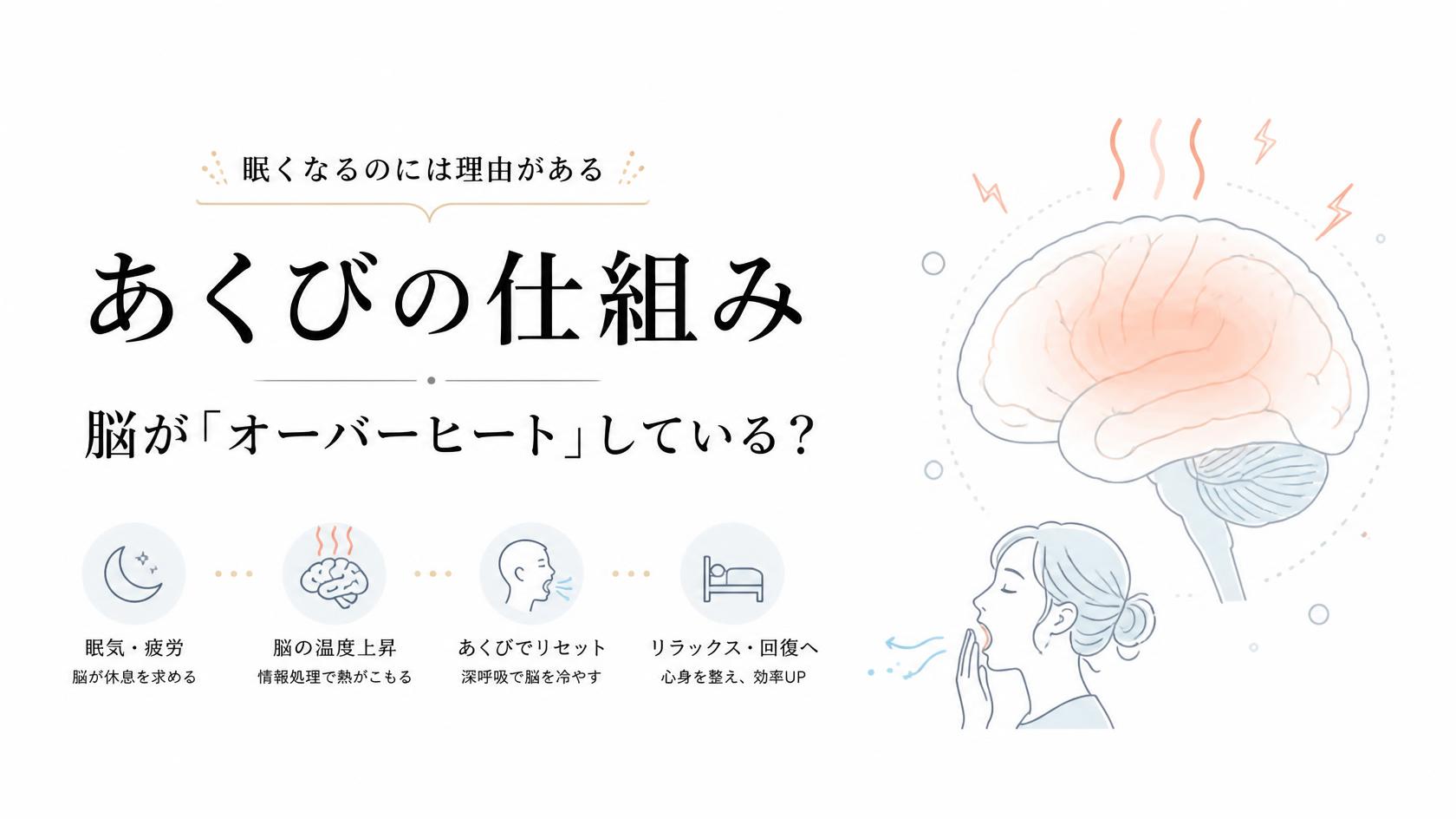 あくびのメカニズム｜脳が“オーバーヒート”してる？
