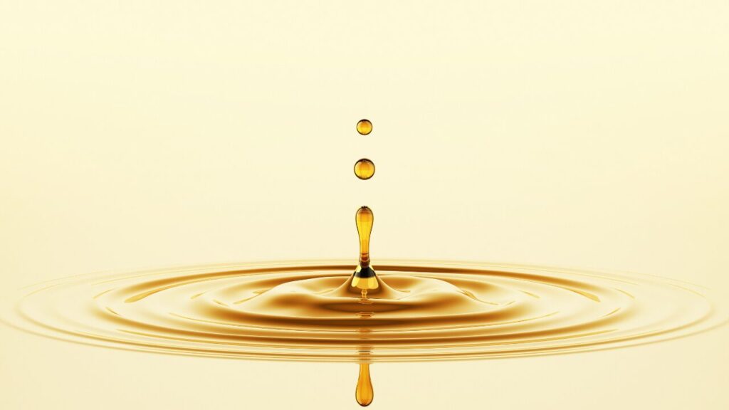 まとめ｜美容・健康を本気で変えたいなら“油の学び直し”が近道