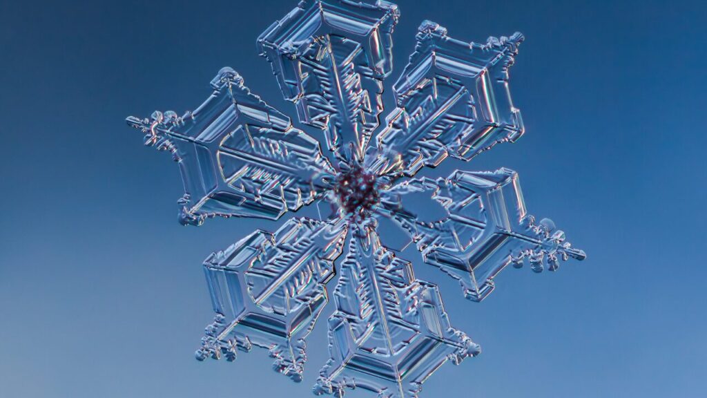 なぜこんなに寒くなるの?寒さの理由を徹底解説