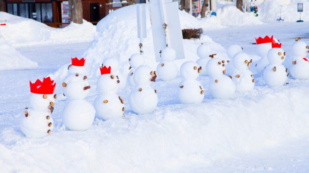 番外編|過去に話題になった「極寒ニュース」